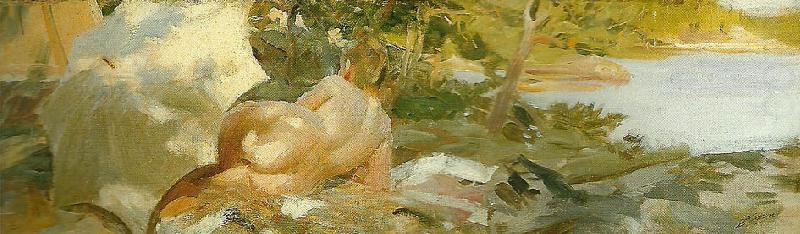 Anders Zorn solbad pa dalaro oil painting picture